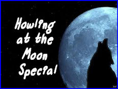 Howing at the Moon at Comfort Getaway Guesthouse